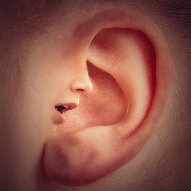 Cum apare urechea muzicală