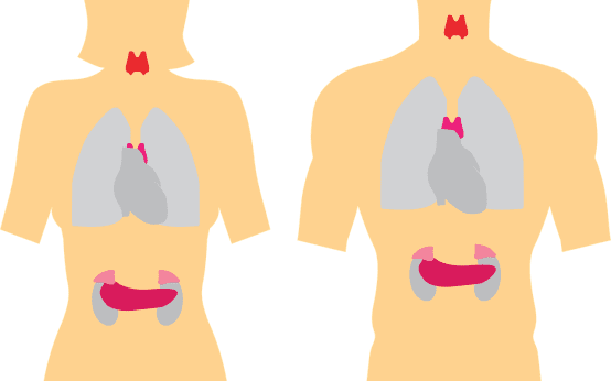 analize tiroida gratuite
