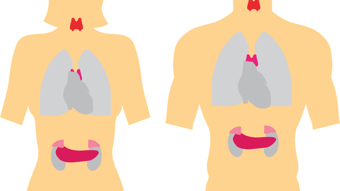 nodul hipoecogen tiroida