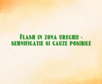 flash ureche