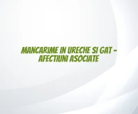 mancarime in ureche si gat