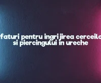 cercei piercing ureche