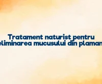 tratament naturist pentru eliminarea mucusului din plamani