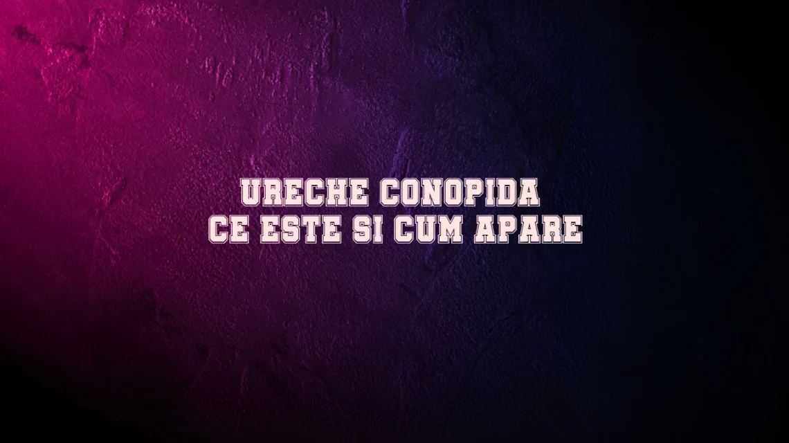ureche conopida