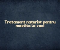tratament naturist mastita la vaci