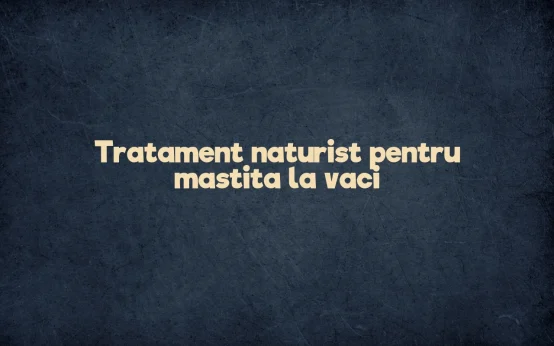 tratament naturist mastita la vaci